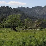 Traditional Majorcan By Renthousing Σπίτι διακοπών