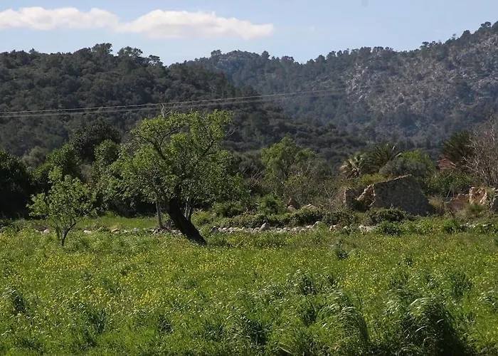 Traditional Majorcan By Renthousing Holiday home
